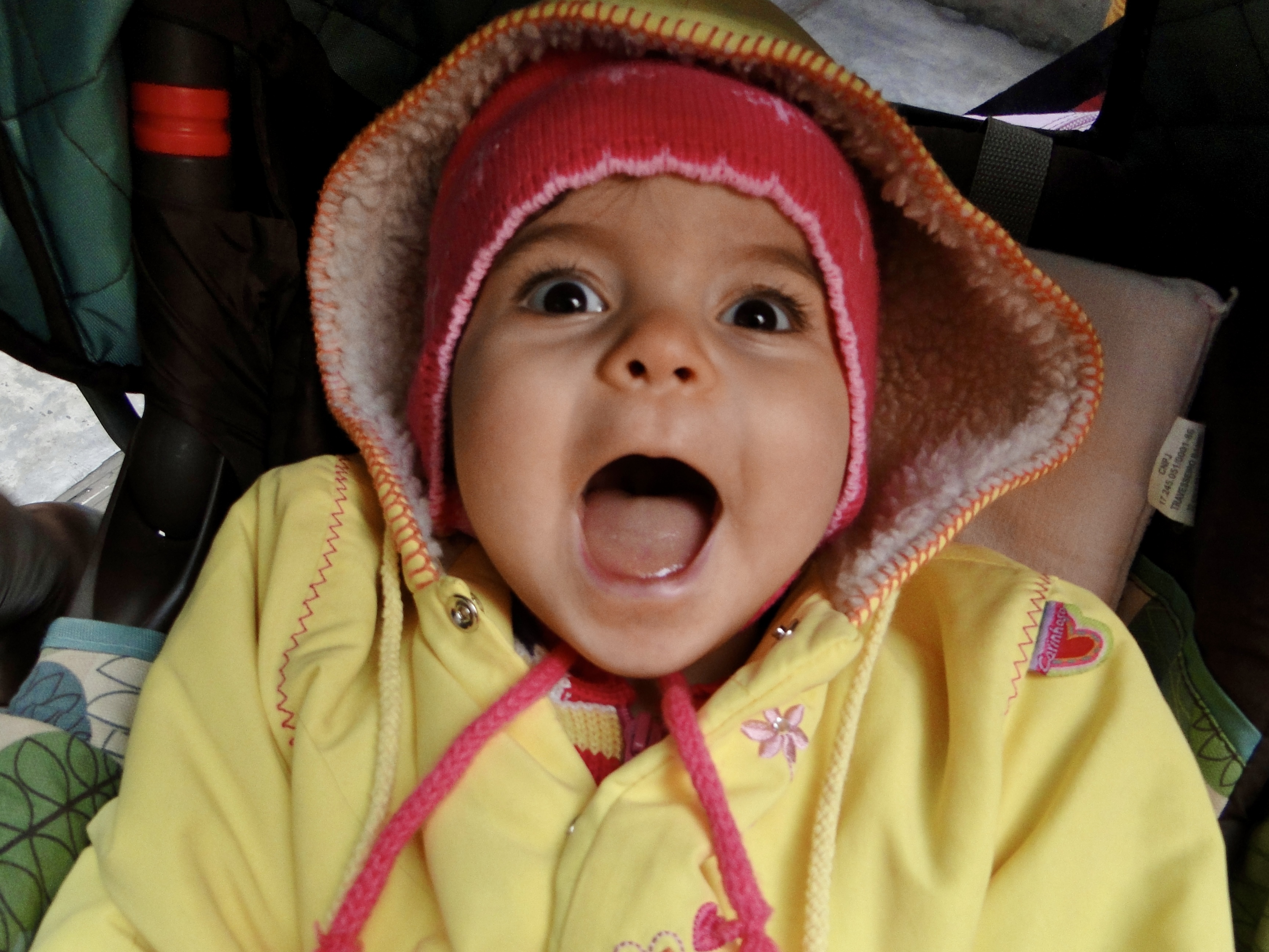 Foto da Letícia - 2011